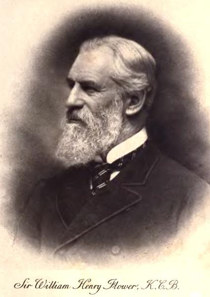 William Henry Flower